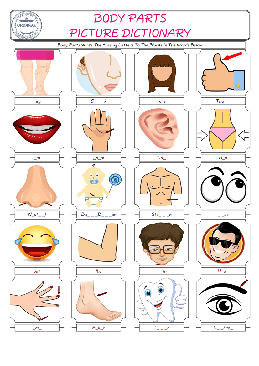  Body Parts Words English worksheets For kids, the ESL Worksheet for finding and typing the missing letters of Body Parts Words 